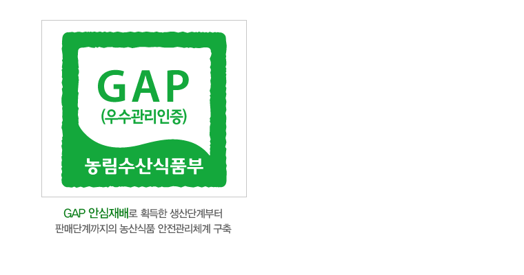 gap, gmp ������ũ